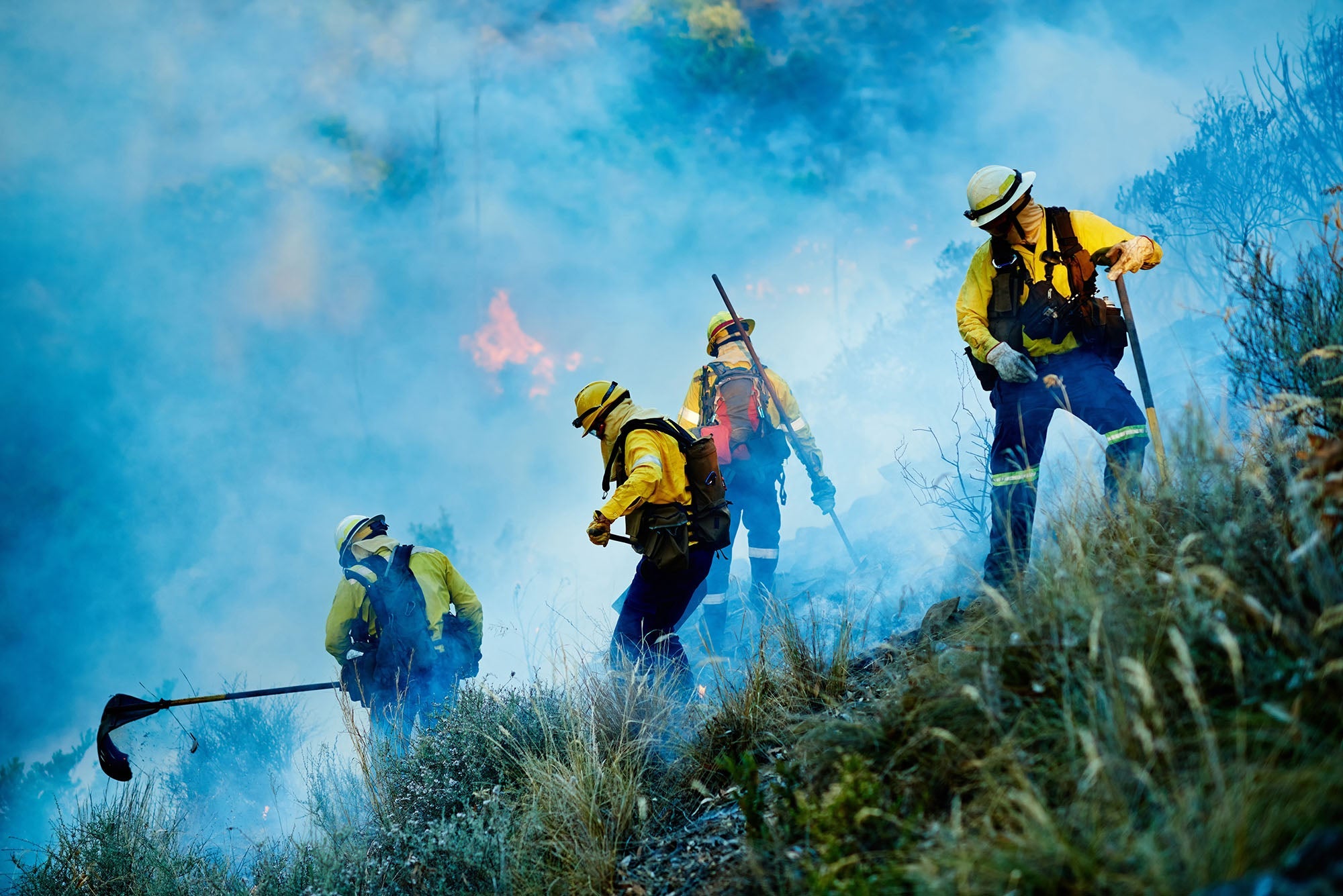Case Study: Wildfire