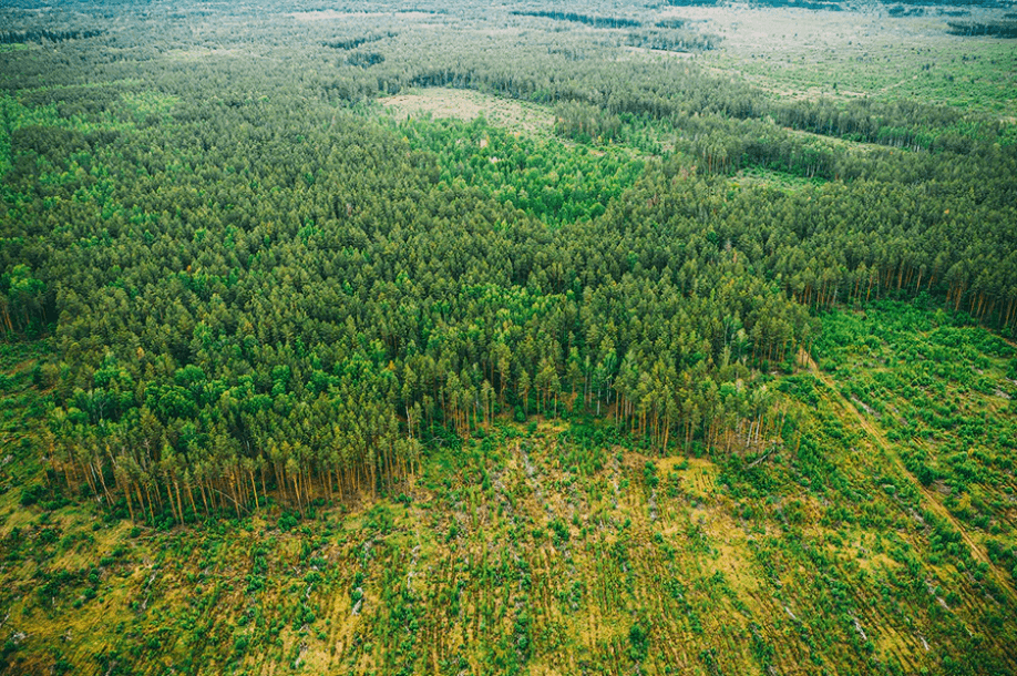 Case Study Forestry SOSLone workers are essential in many industries, and assignments often require individuals to work in remote areas outside of cellular service. To ensure employees’ safety, companies must be able to communicate with lone workers even