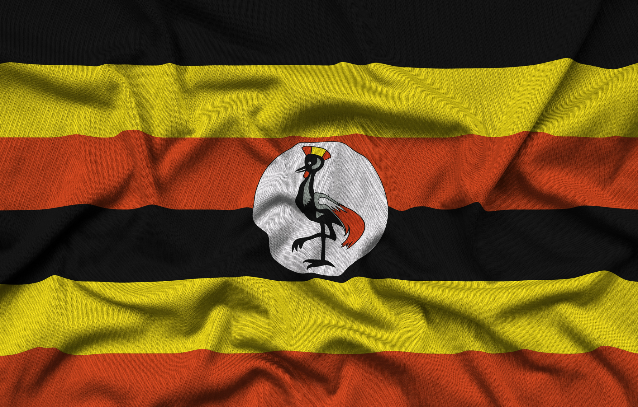 Uganda Elections Case Study
